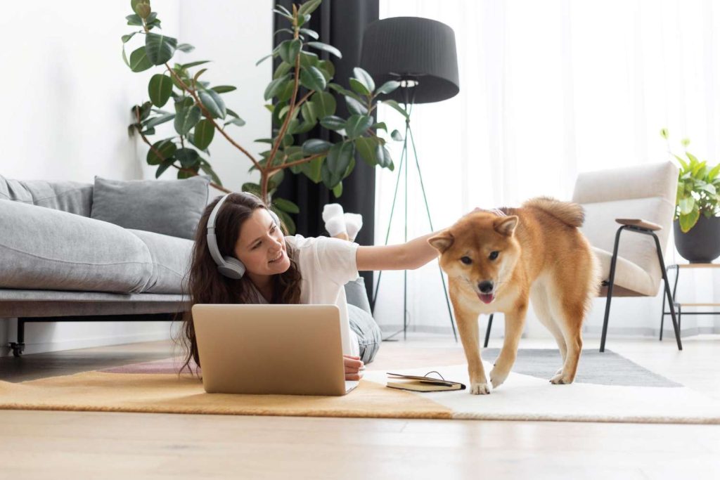 Your Pet Could Be Changing Your Home Insurance Rate: Here’s How!